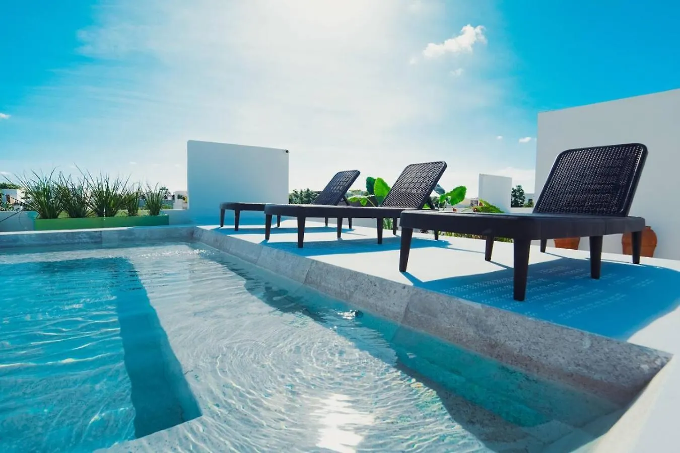 아파트 Work And Relax Apto With Cowork Space And Rooftop 툴룸