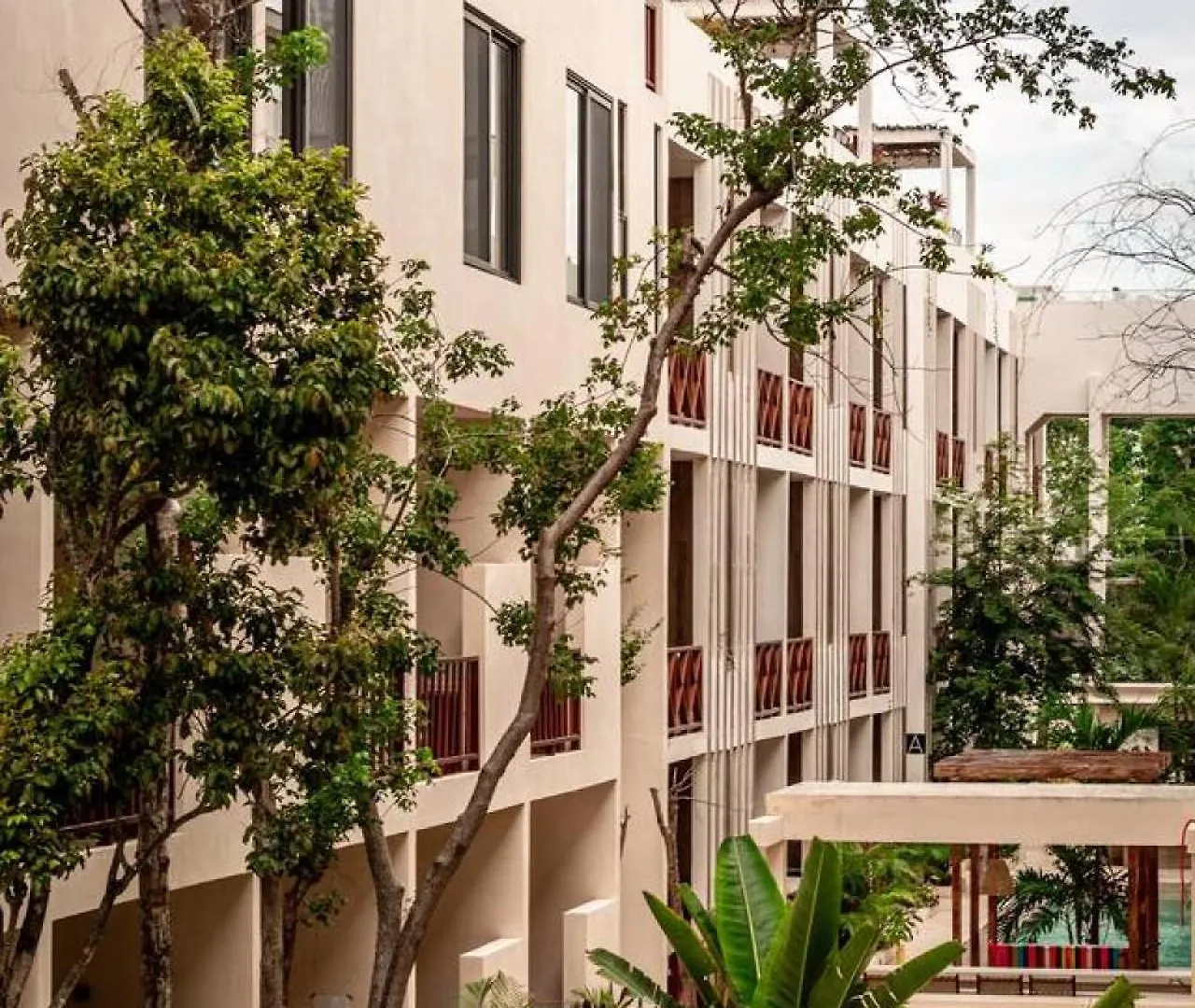 Work And Relax Apto With Cowork Space And Rooftop Τουλούμ